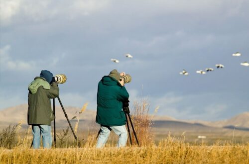 gregor-podgorski | Going Bird Watching in the Surrounding National Park