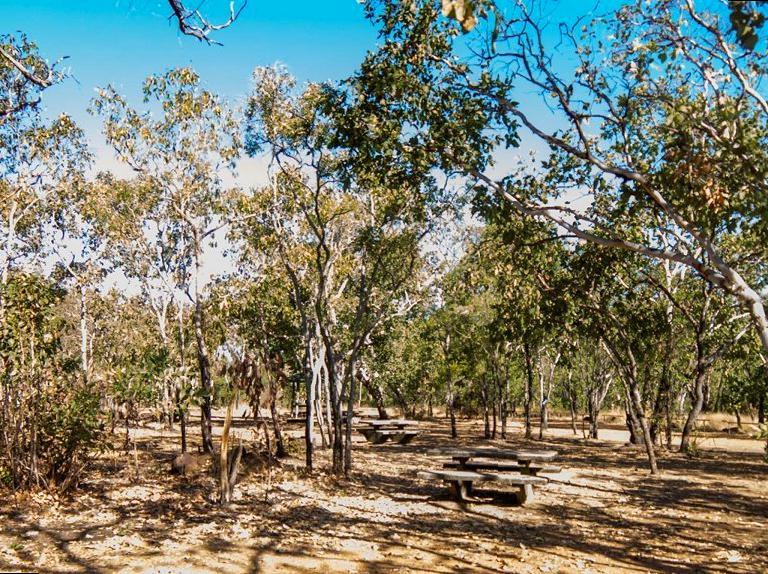 Kakadu's Malabanjbanjdju Rock Shelters Through History