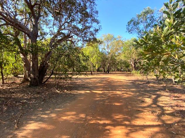 Exploring the Historical Rock Shelters of Kakadu: Malabanjbanjdju