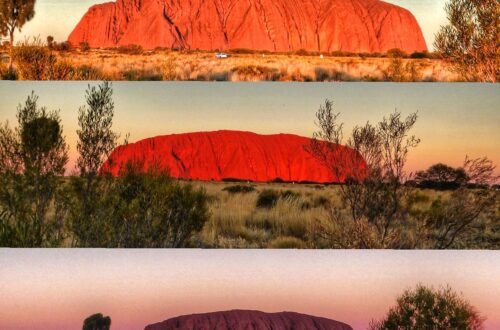 gregor-podgorski | Having a Picnic at the Sunset Viewing Area