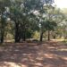 gregor-podgorski | Gagudju Adventure Site: Thrilling Activities in Kakadu